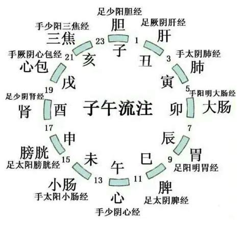 地支歌|十二经纳《地支歌》